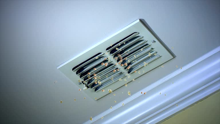 Best HVAC Maintenance and Cleaning  in Peosta, IA