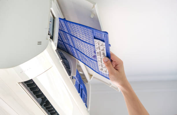 Best HVAC Duct Inspection Services  in Peosta, IA