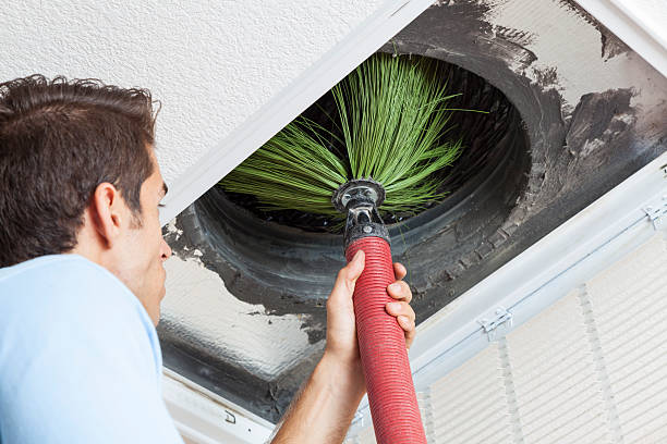 Best Affordable Duct Cleaning Services  in Peosta, IA